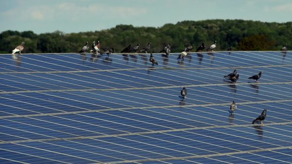 Association des victimes du photovolta?que - Victimes d'une arnaque photovolta?que