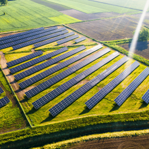 des agriculteurs victimes d'arnaques aux panneaux solaires